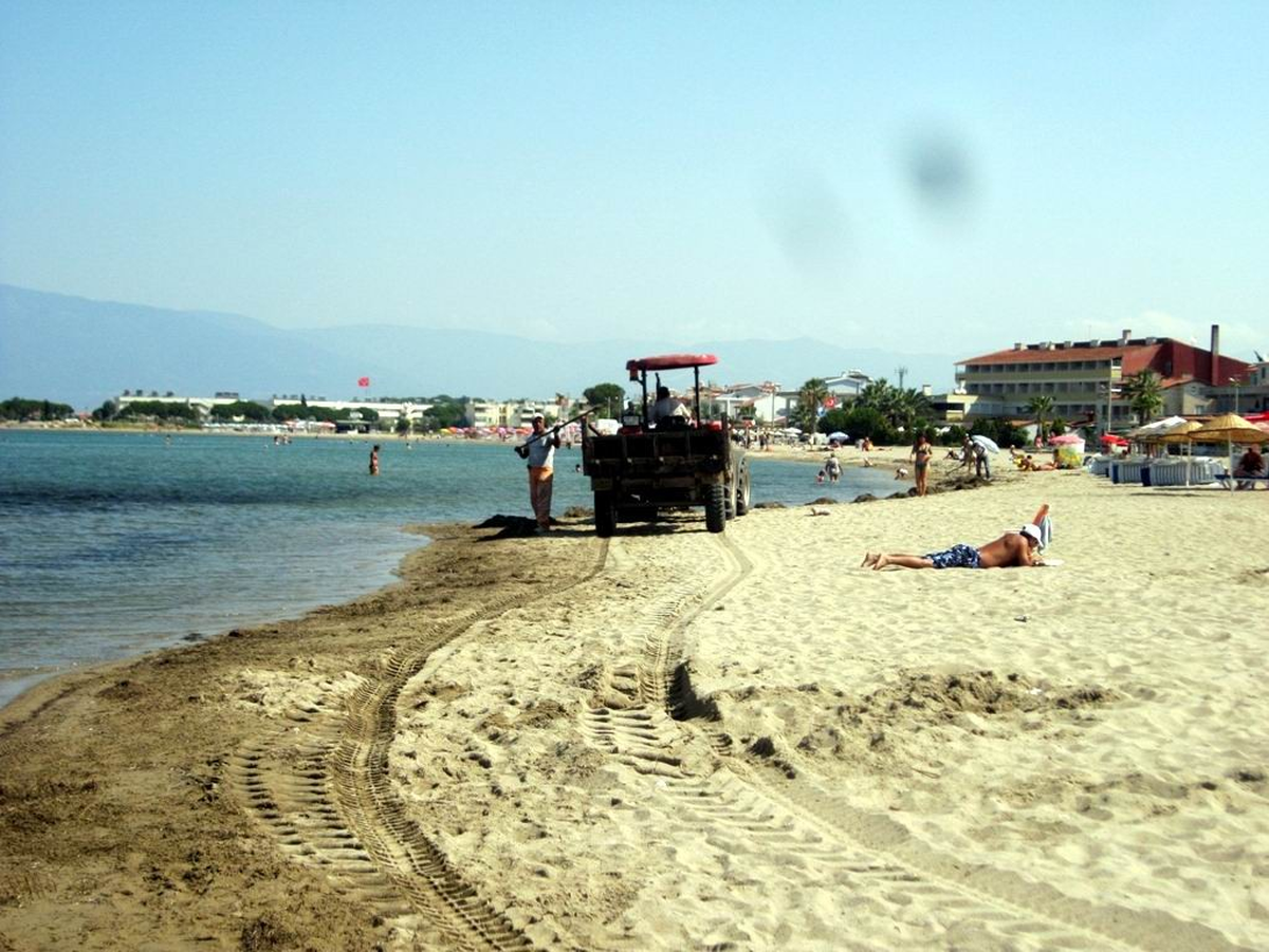 Burhaniye\'de Mavi Bayraklı Plaja Yakışır Temizlik