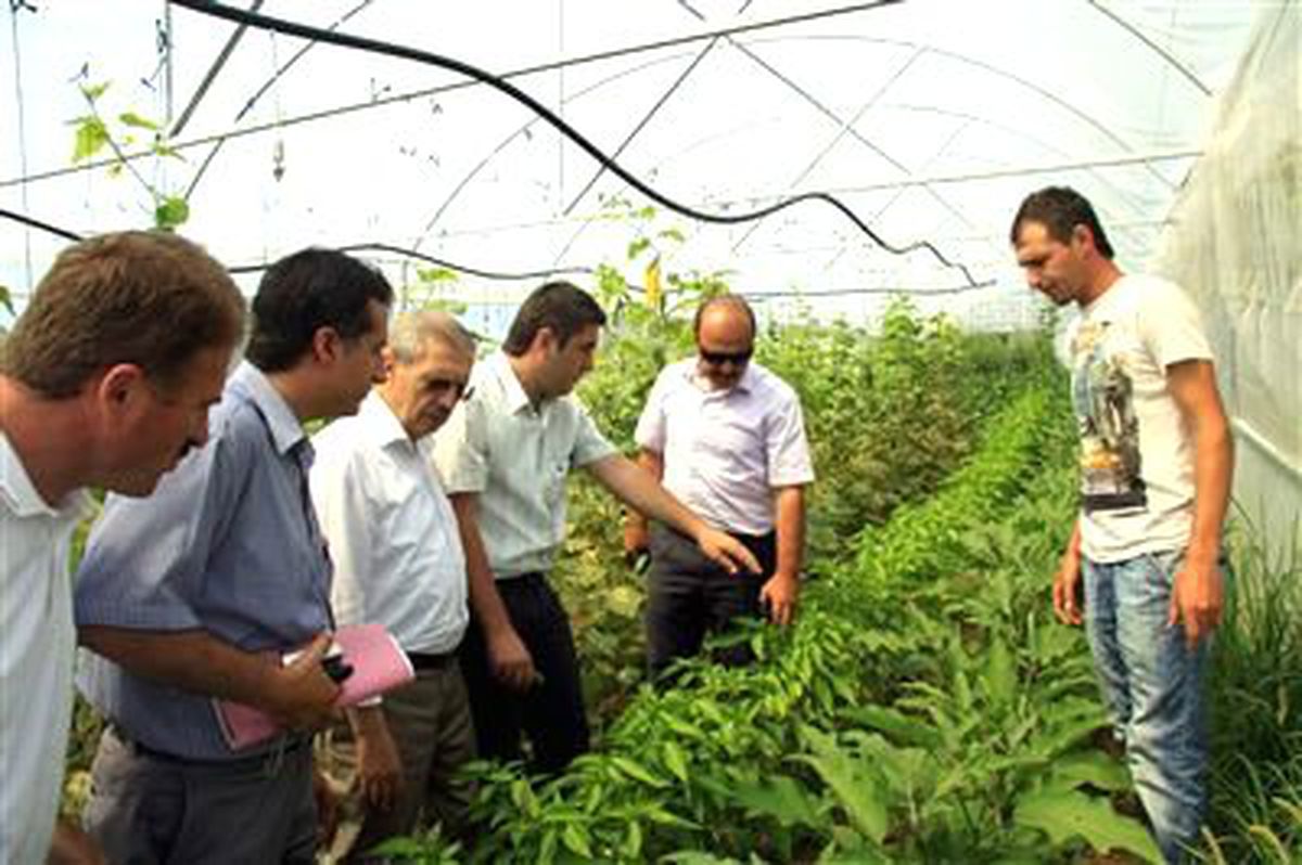 Büyükşehir\'in Tarım Çalışmaları Sonuç Verdi