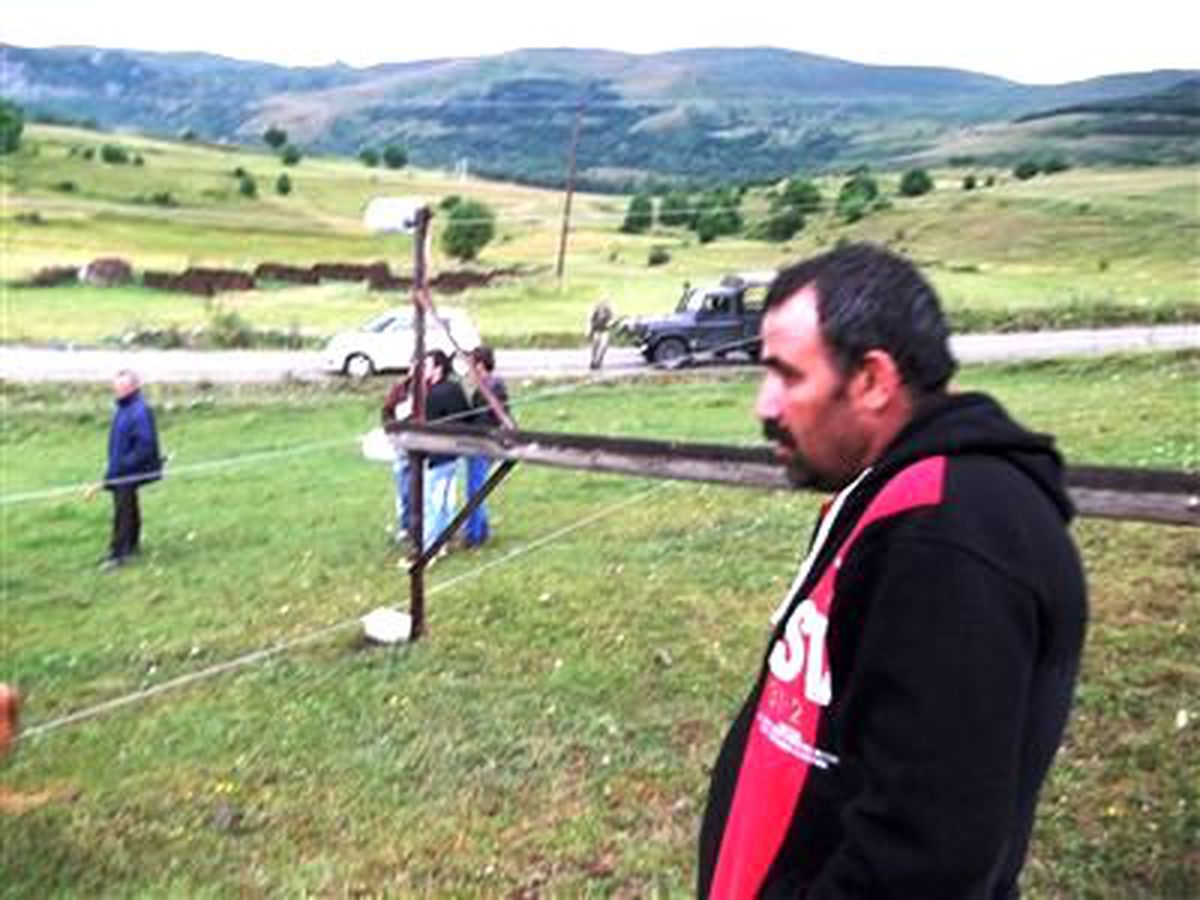 Devrilen Elektrik Direği İnekleri Öldürdü