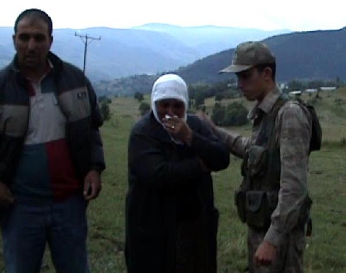 Köyde Elektrik Direği Devrildi, Akıma Kapılan 6 İnek Telef Oldu