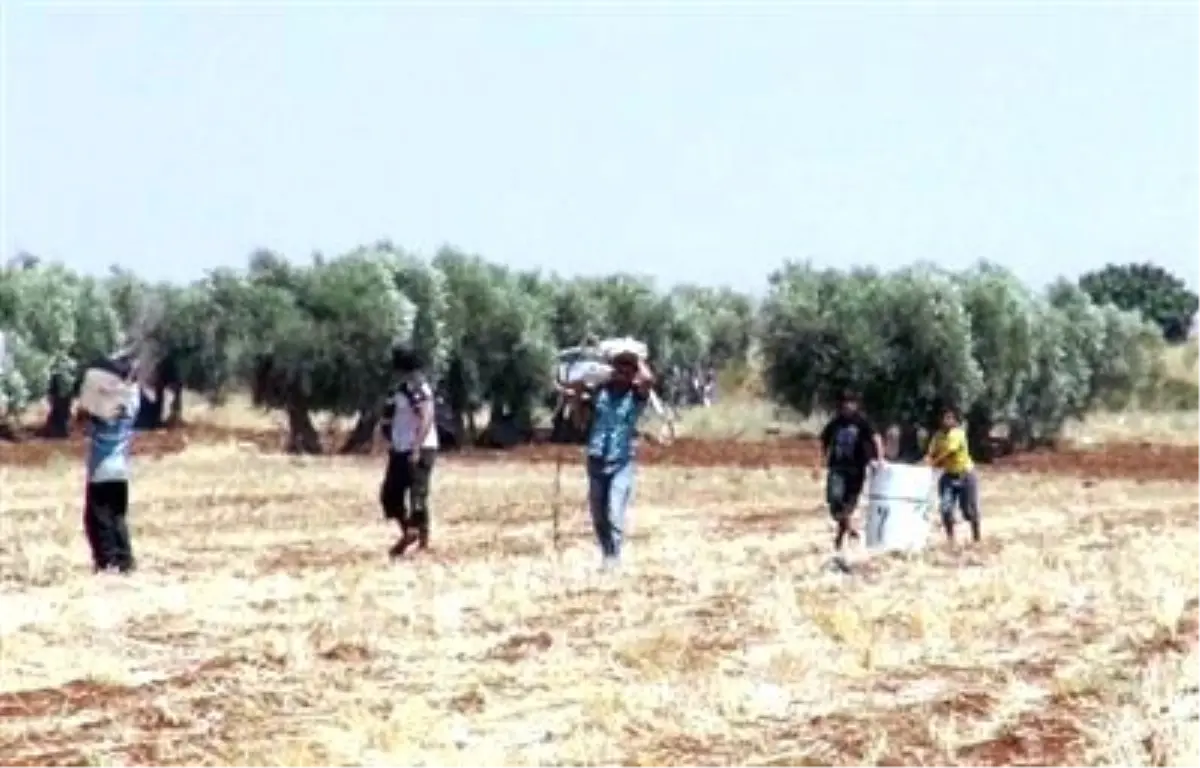 Suriye\'deki Olaylar