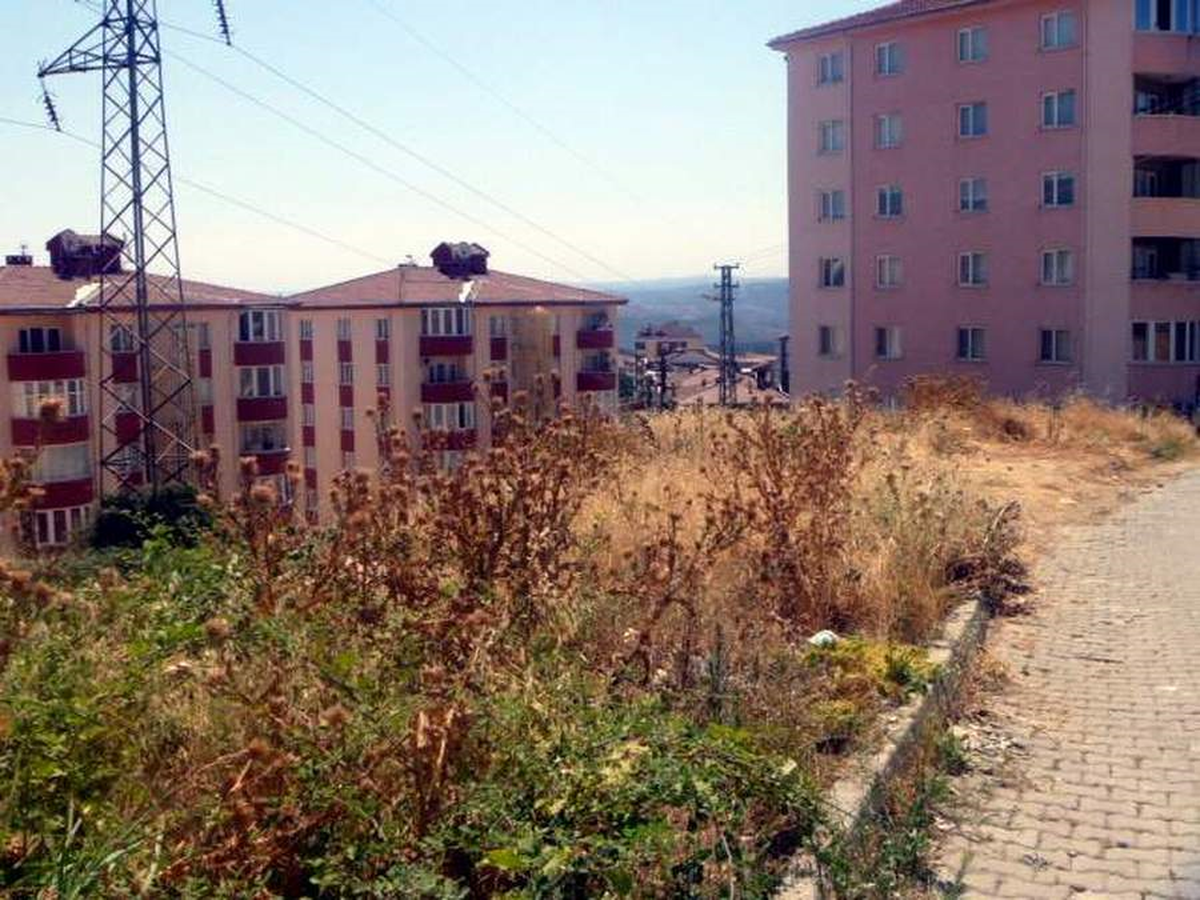 Bilecik\'te Kuru Otlar Tehlike Oluşturuyor