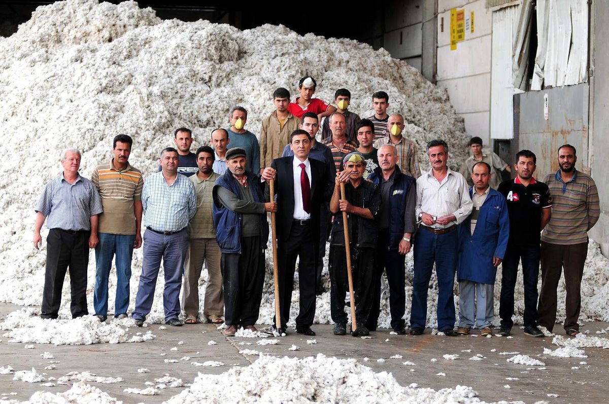 Pamuğu Kuraklık ve Elektrik Vuruyor
