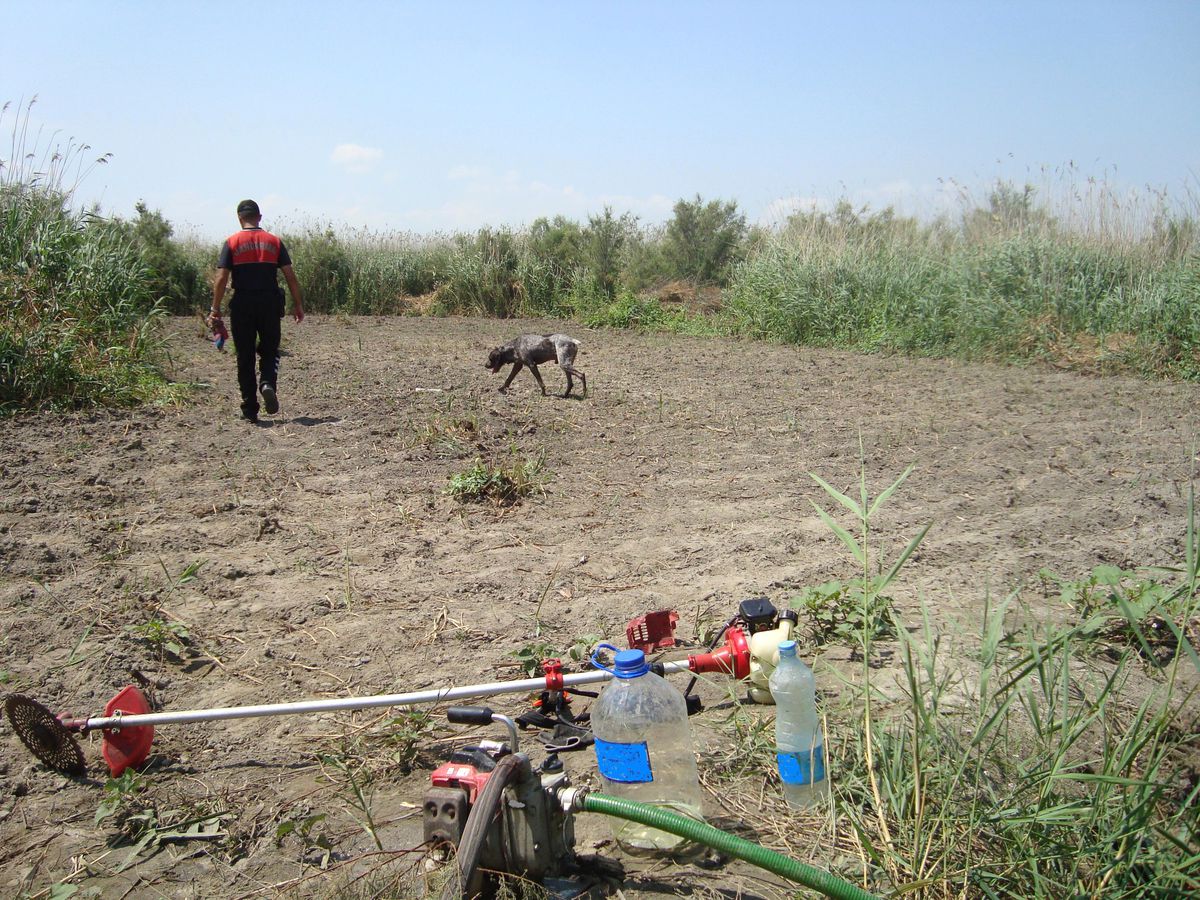 Uyuşturucuyu Narkotik Köpeği Buldu