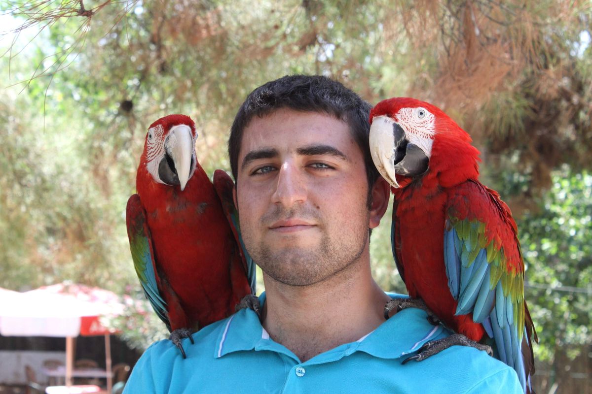 Ara Papağanlar Hayvanat Bahçesinin Maskotu Oldu