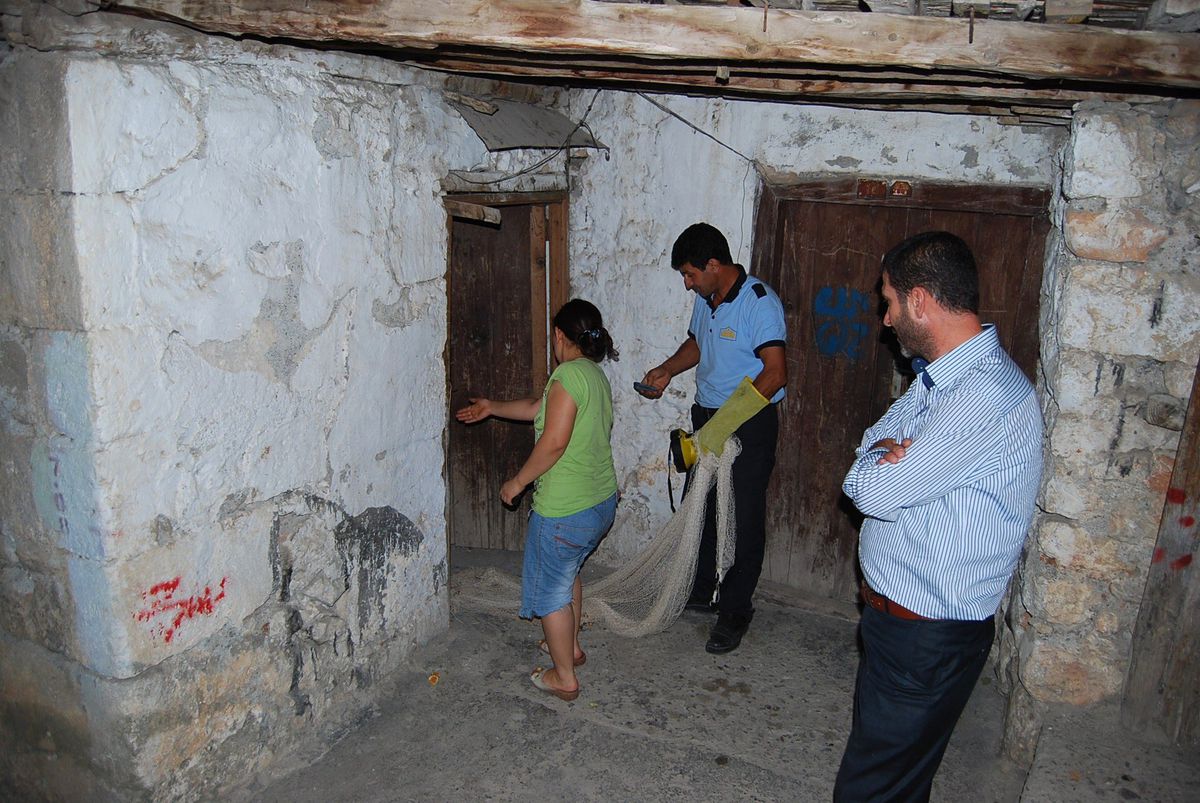 Evde Yılan Paniği