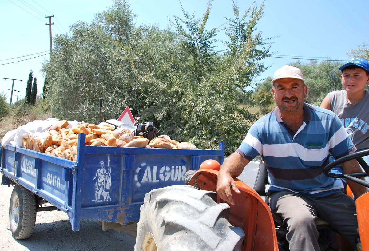 Kimi Bir Lokmasına Muhtaç, Kimi Tonlarca İsraf Ediyor