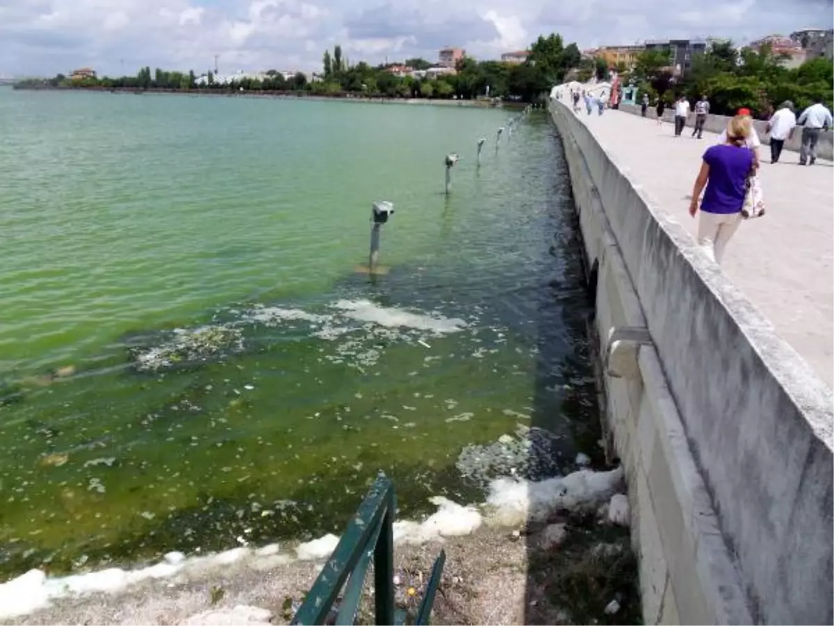 Küçükçekmece Gölü Yine Yeşerdi