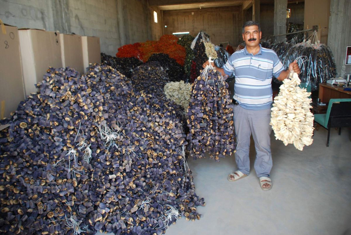 Kurutmalık Zamanı Başladı