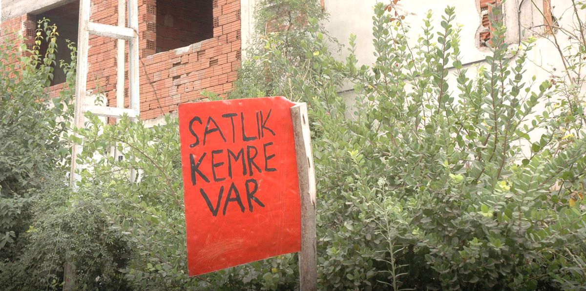 Trabzon\'dan İlginç İlan