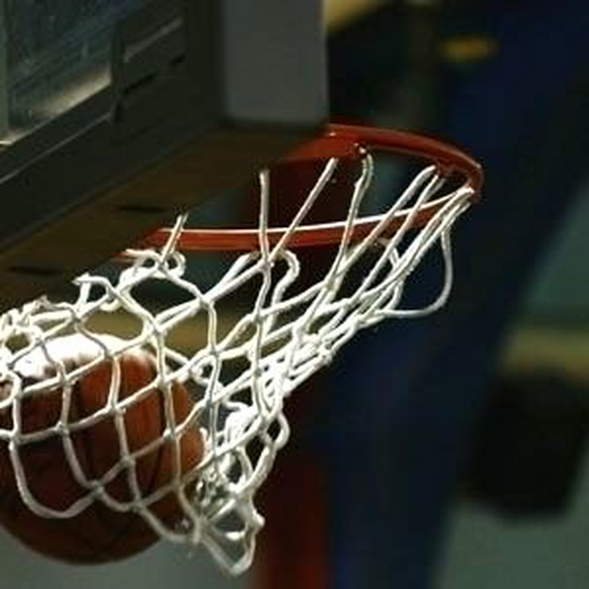 Türkiye Kadınlar Basketbol Ligi
