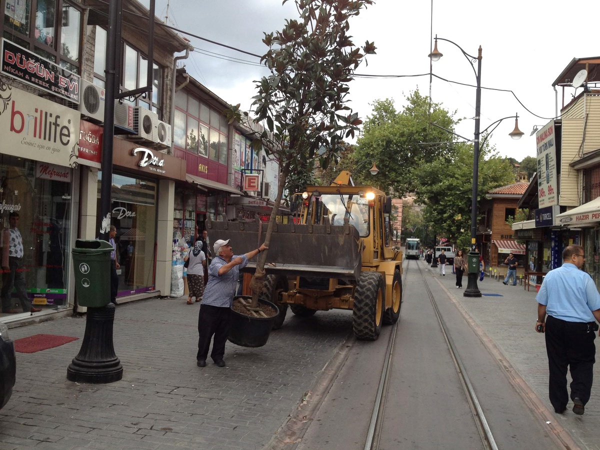 Cumhuriyet Caddesi Yeni Ağaçlarla Daha da Güzelleşiyor