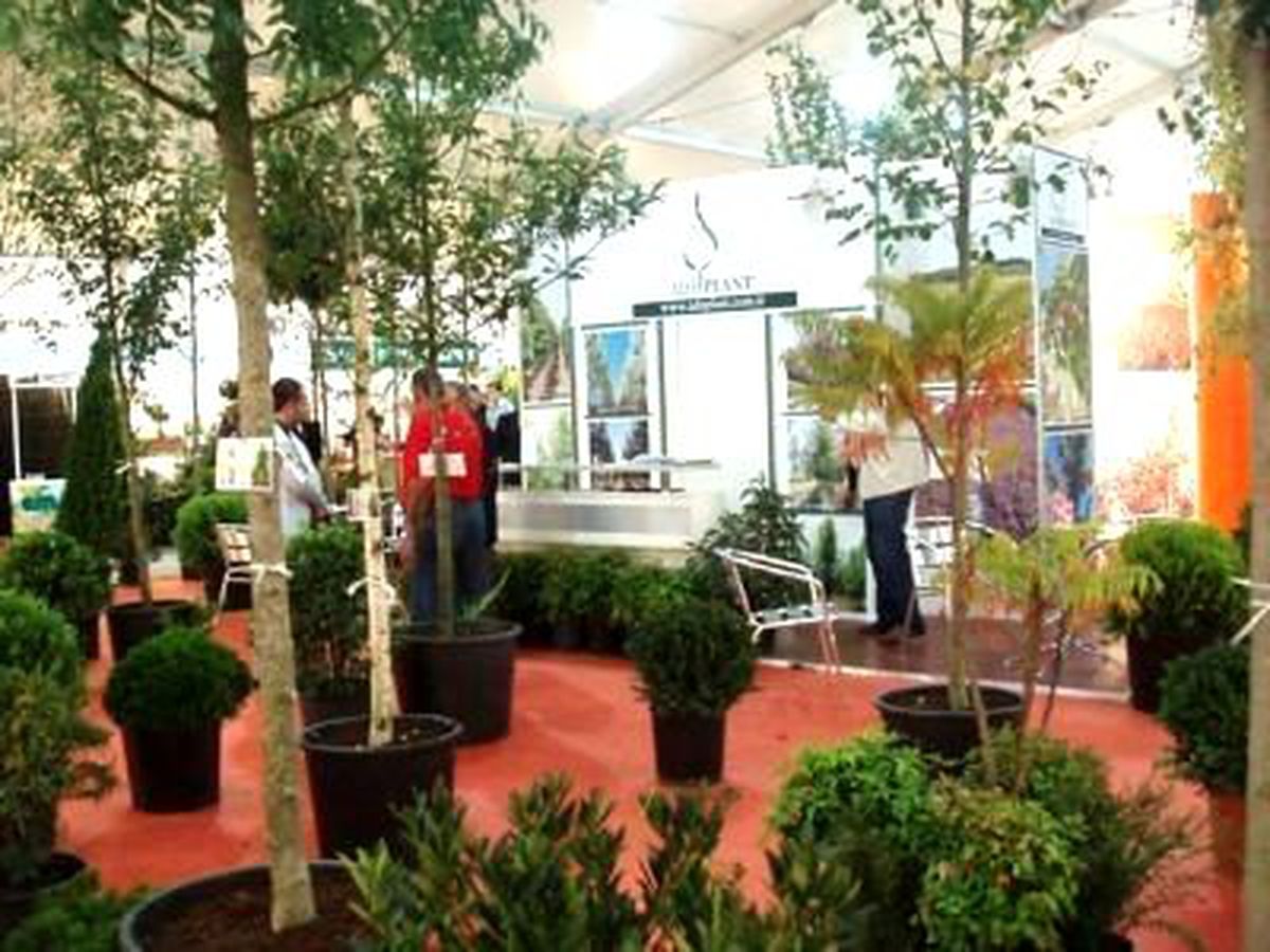 Expo 2016 İçin Akdeniz\'deki Bitki Türleri Araştırılacak