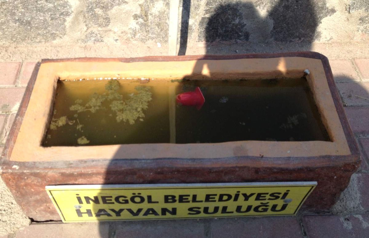 Hayvanların Su Kapları Çöplük Oldu
