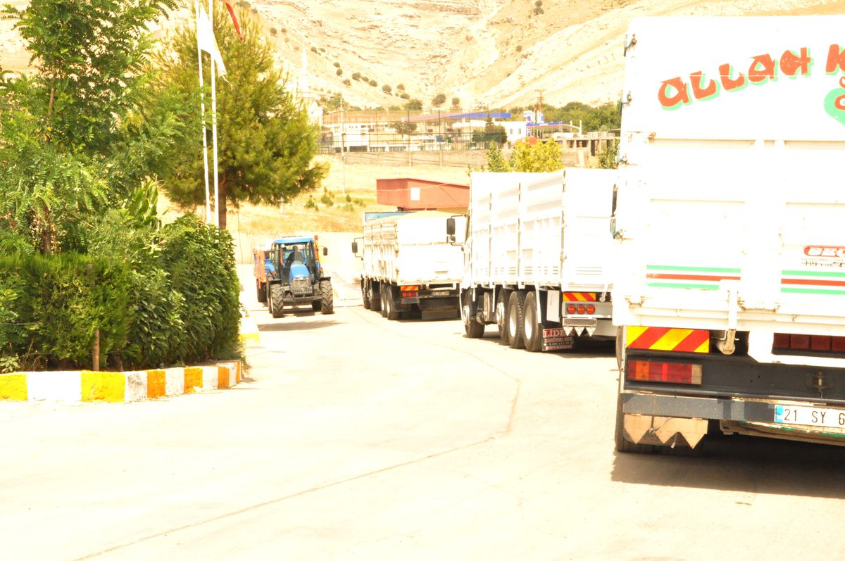 TMO Silvan\'da Buğday Alımlarını Sürdürüyor