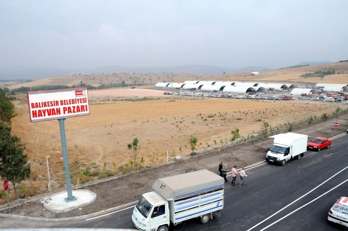 Balıkesir\'de Şap Karantinası Kalktı