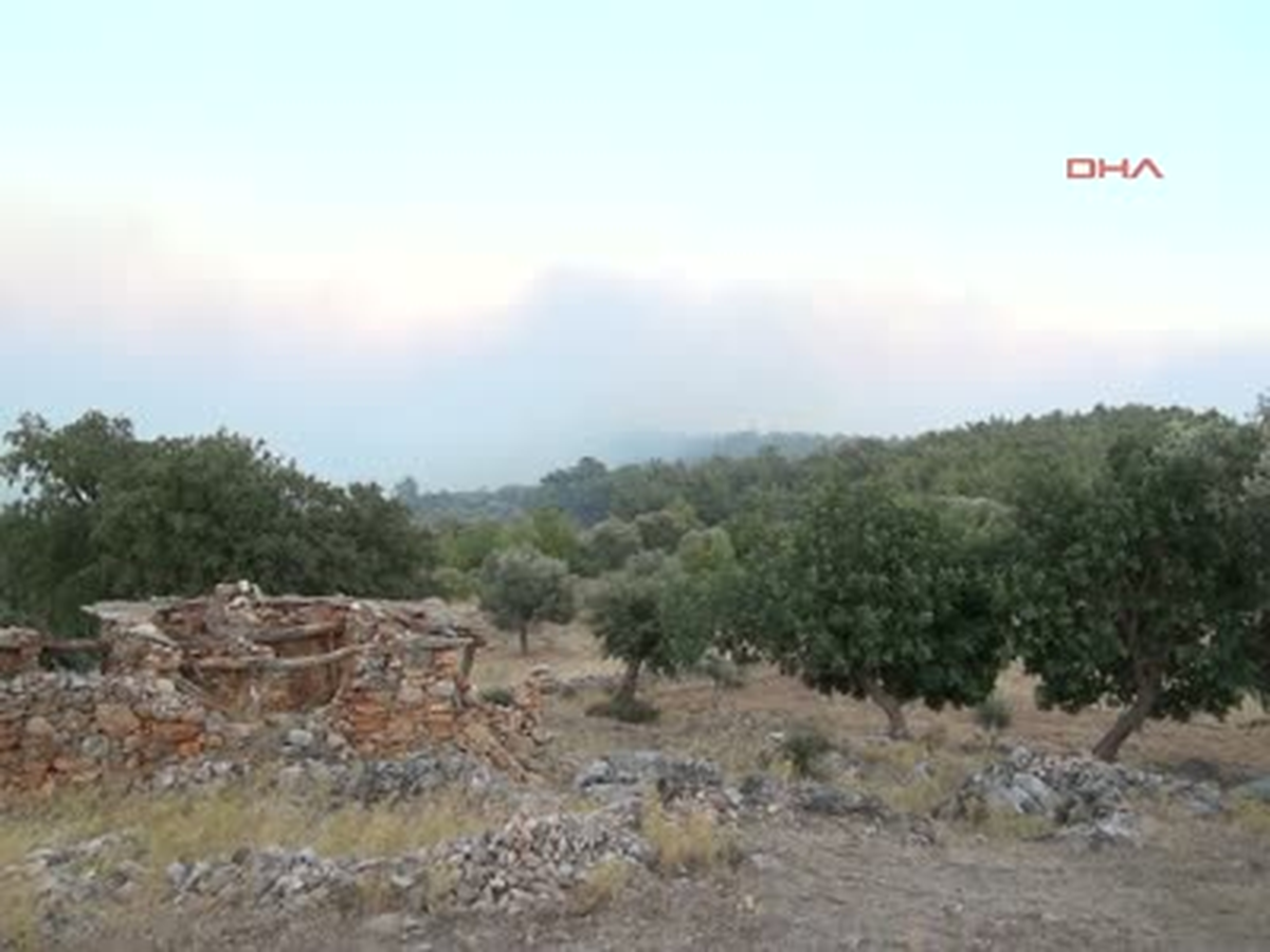 Bodrumda Orman Yangını