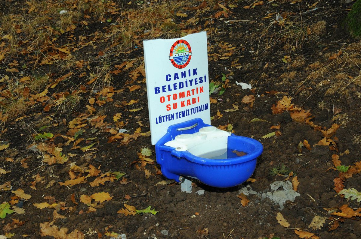 Canik Hayvanları Koruyor