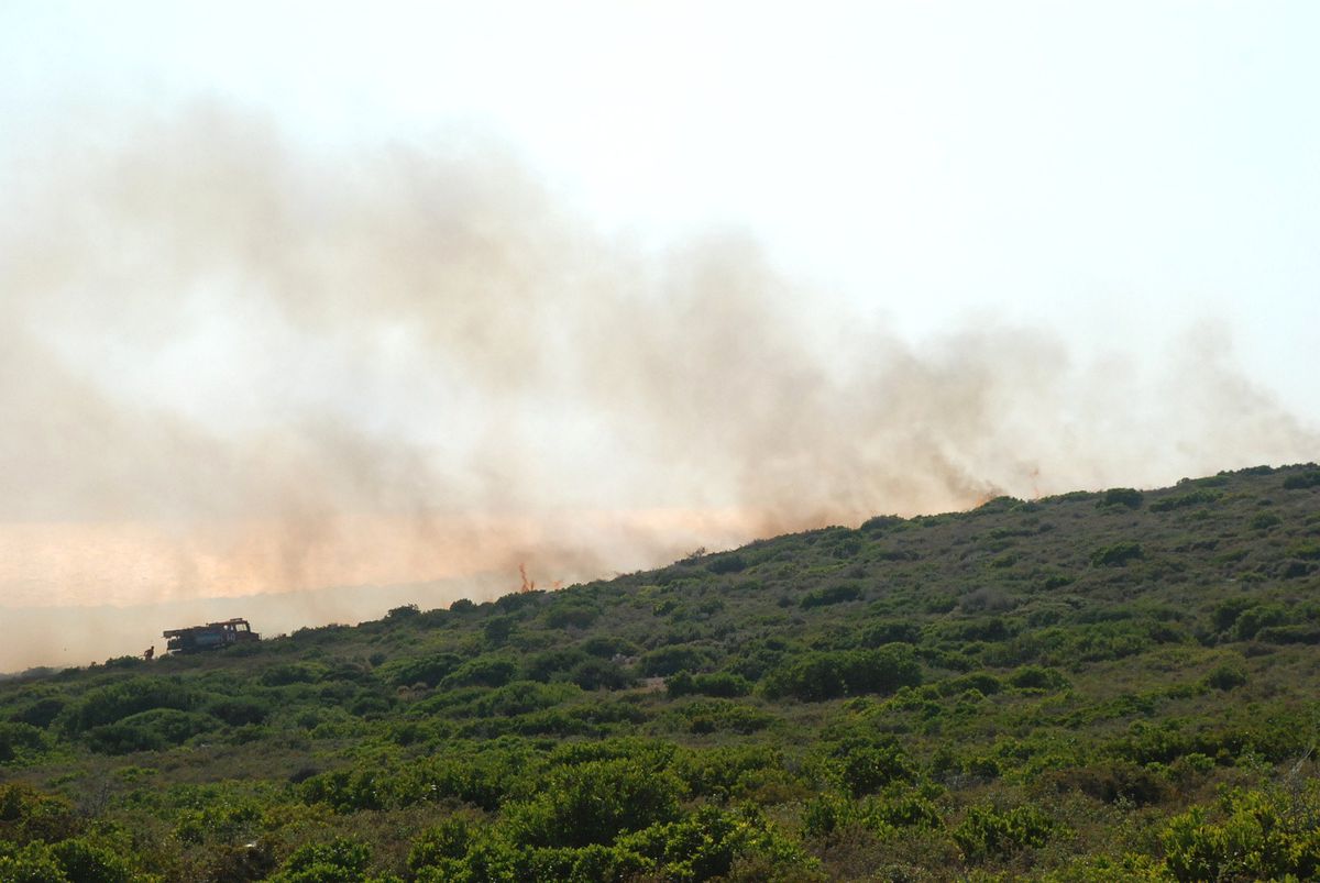 Didim'de 35 Dönüm Makilik Alan Kül Oldu