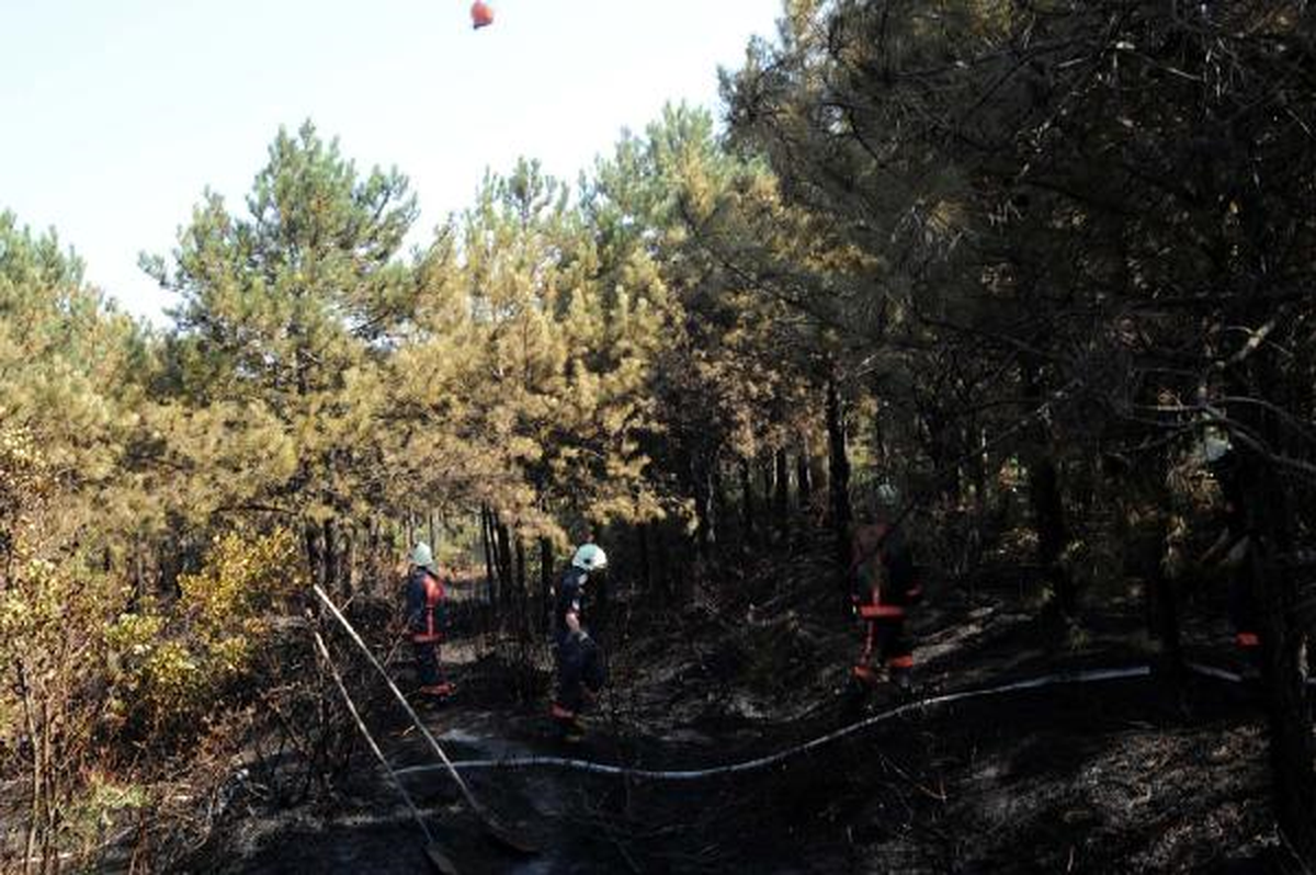 İki Ayrı Noktadan Başlayan Orman Yangınına Havadan Müdahale