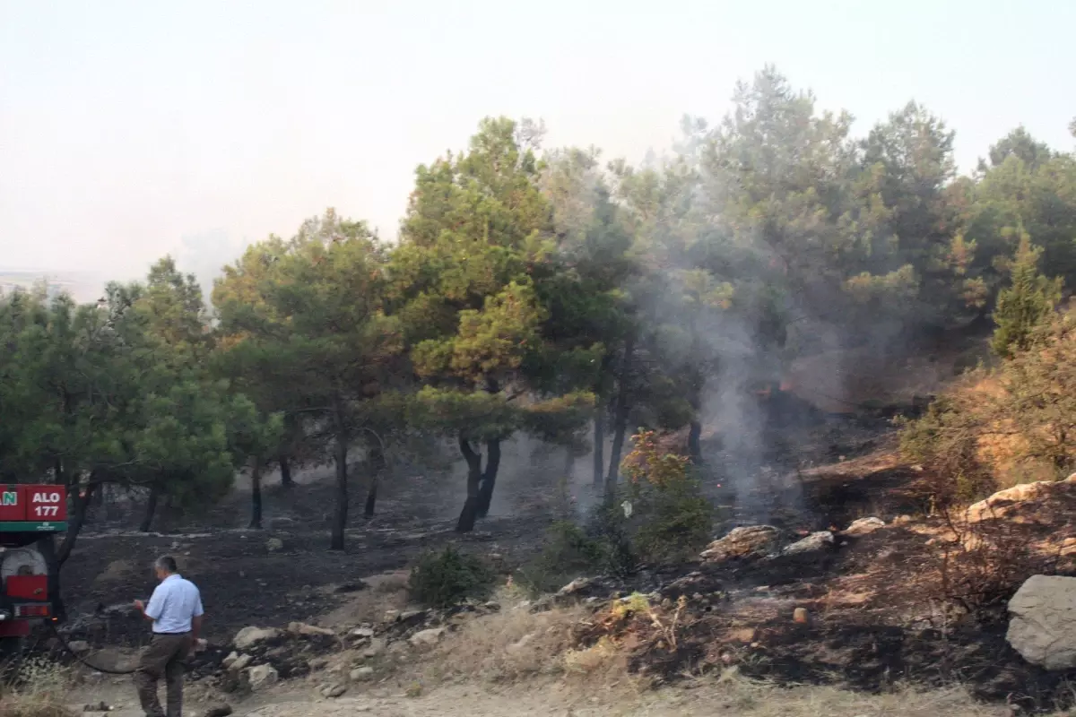 Keşan\'da 4 Ayrı Noktada Çıkan Orman Yangını Büyümeden Söndürüldü