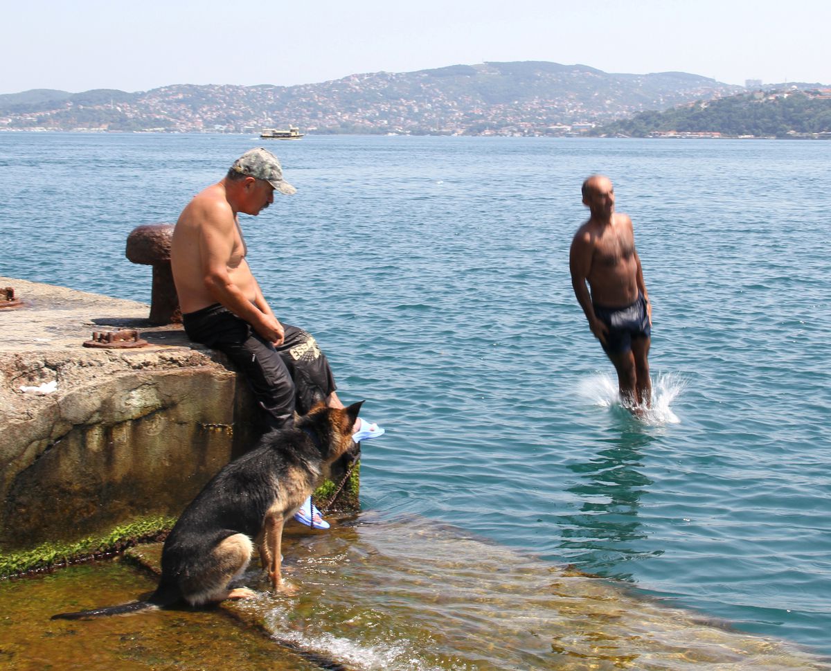 Köpeğini Serinletmeye Çalışırken İşkence Çektirdi