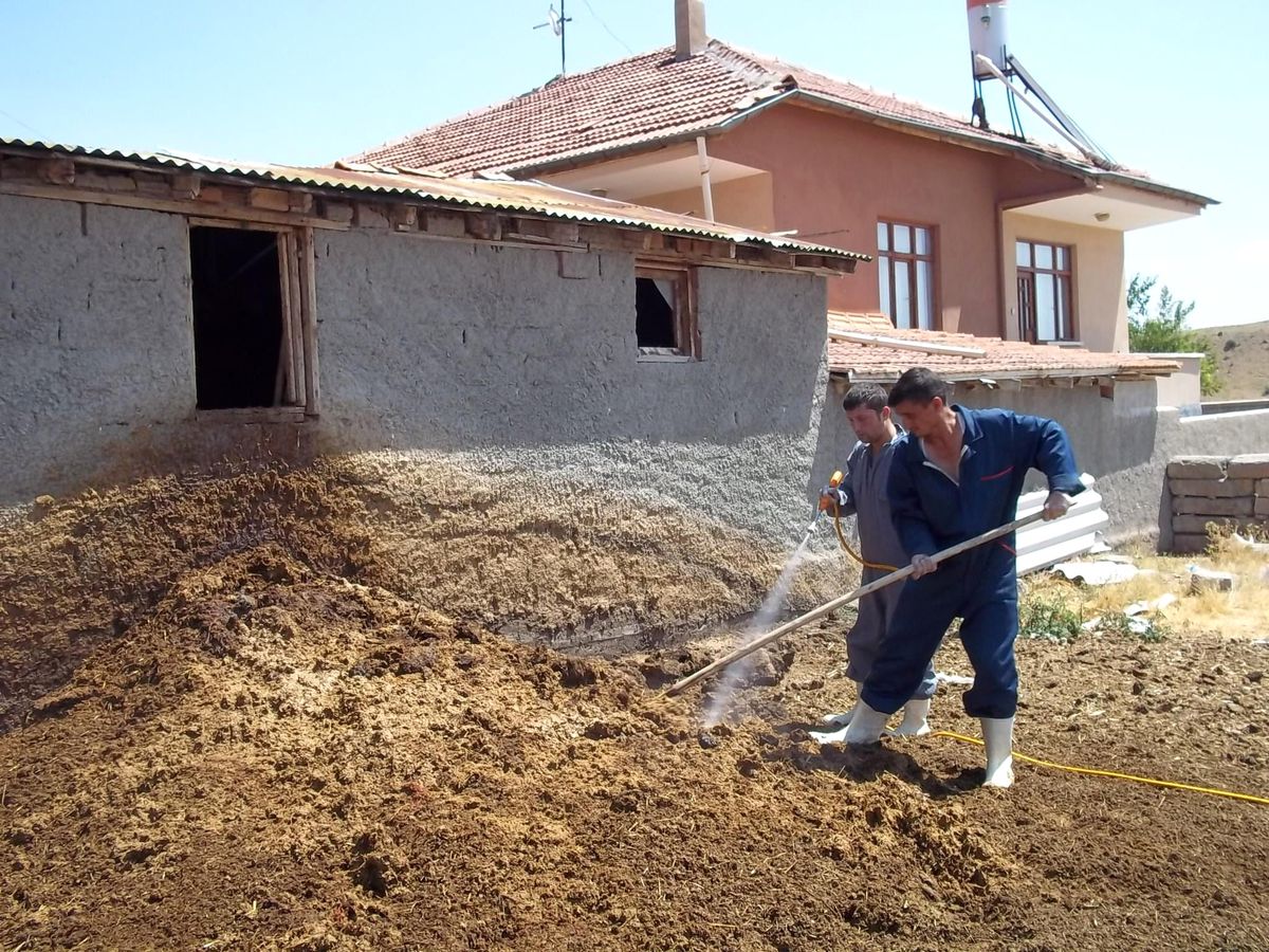 (Özel Haber) Yahşihan\'ı Sinekler Bastı