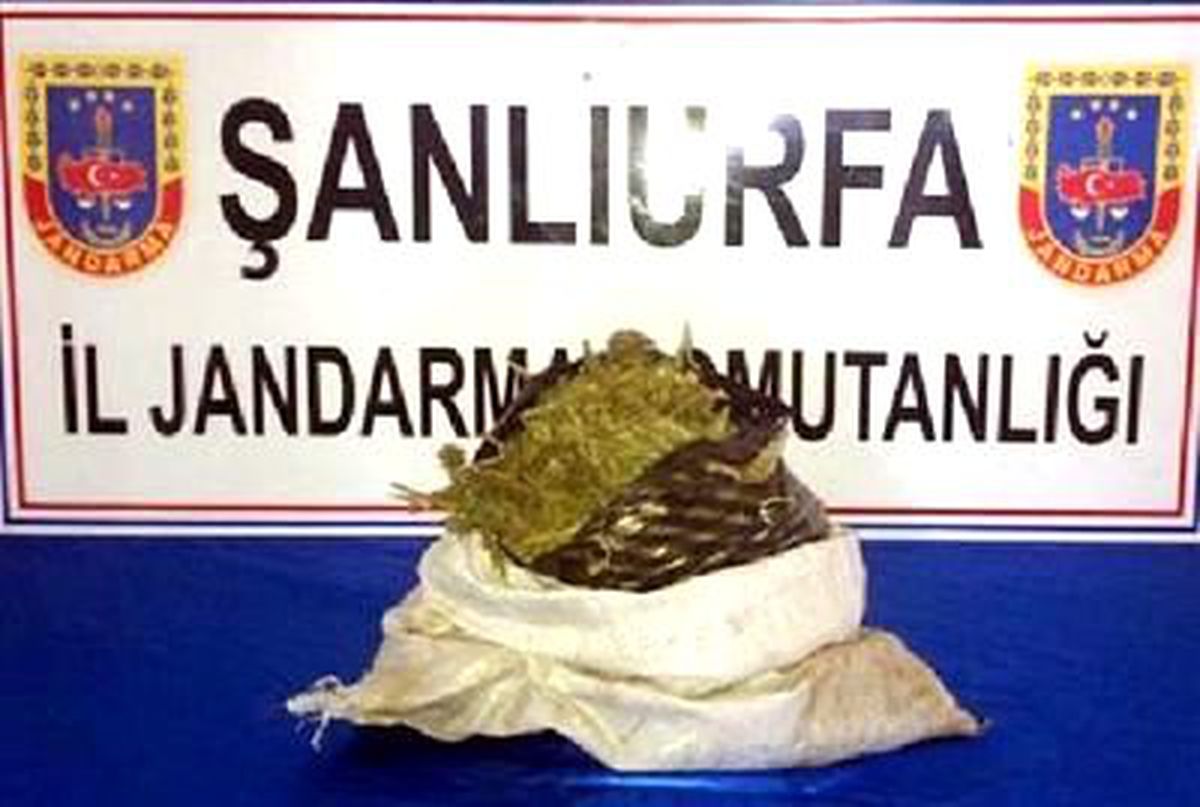 Siverek\'te 58 Kilo Esrar Ele Geçirildi