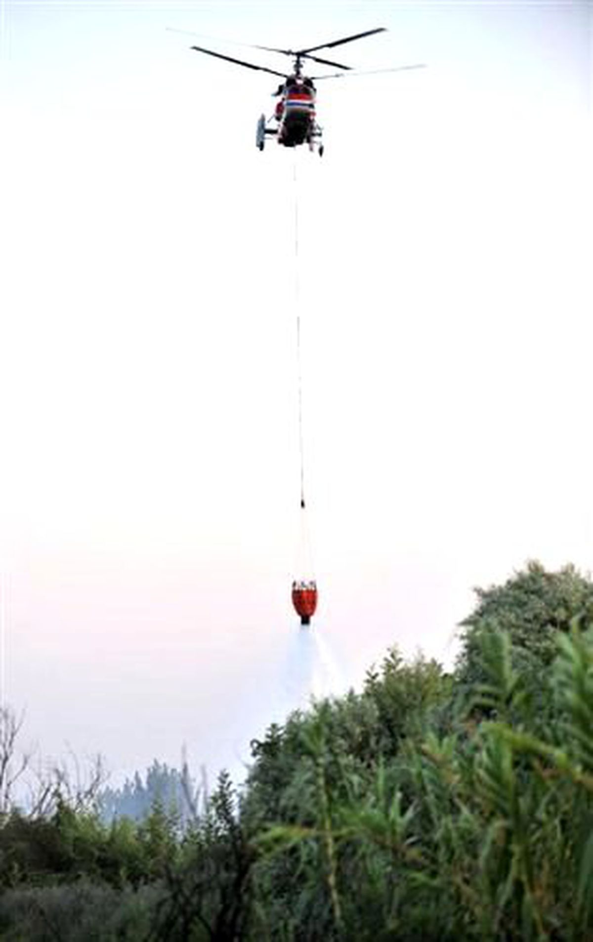 Vakıf Zeytinliği\'ndeki Yangın Korkuttu