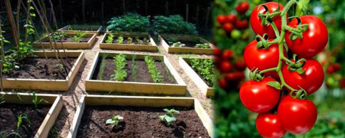 Bahçetepe İstanbul'da Müstakil Ev