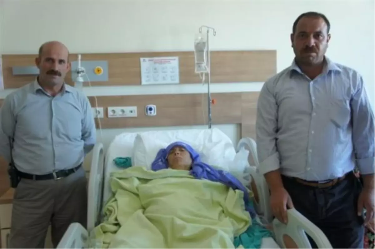 Böbreğinden 150 Taş Çıktı