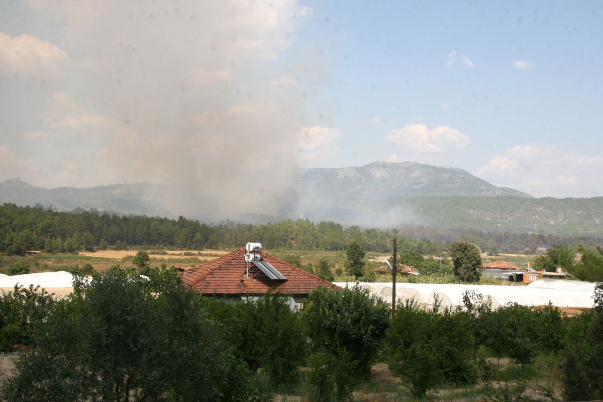 Burdur\'da Orman Yangını