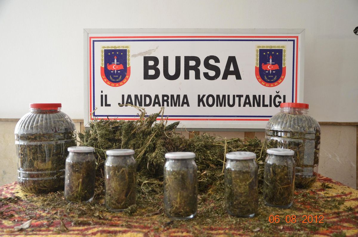 Bursa\'da 15 Kilo Kubar Esrar Maddesi Ele Geçirildi
