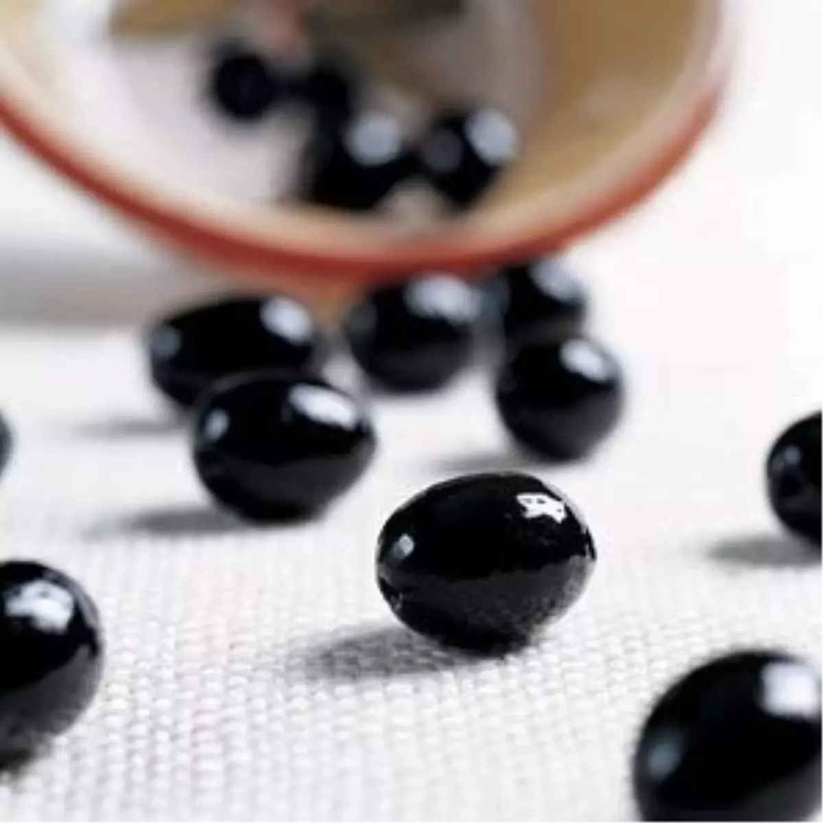 Bursa Ticaret Borsası