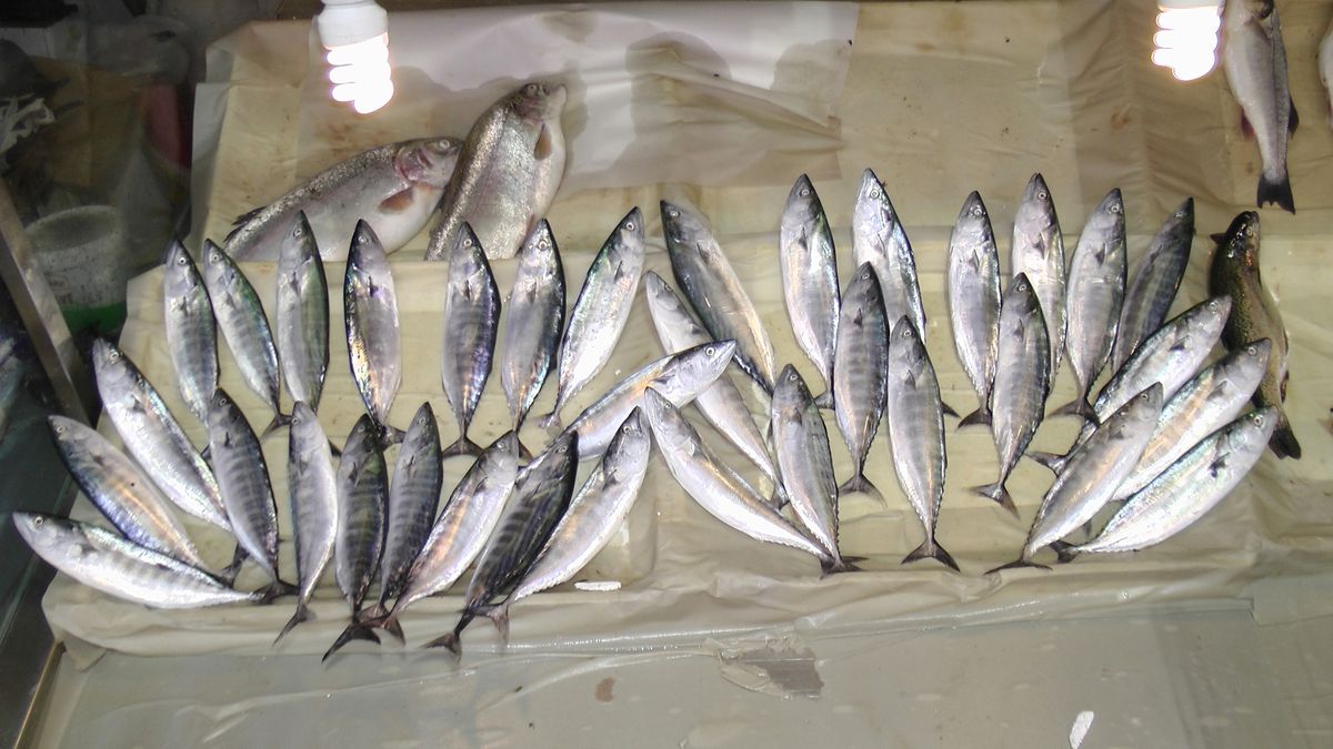 Çingene Palamudu Tezgahlardaki Yerini Aldı