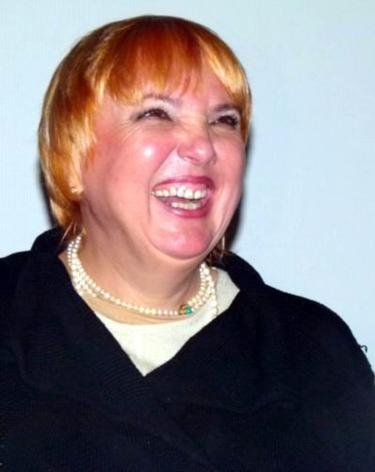 Claudia Roth Hatay\'a Gidecek