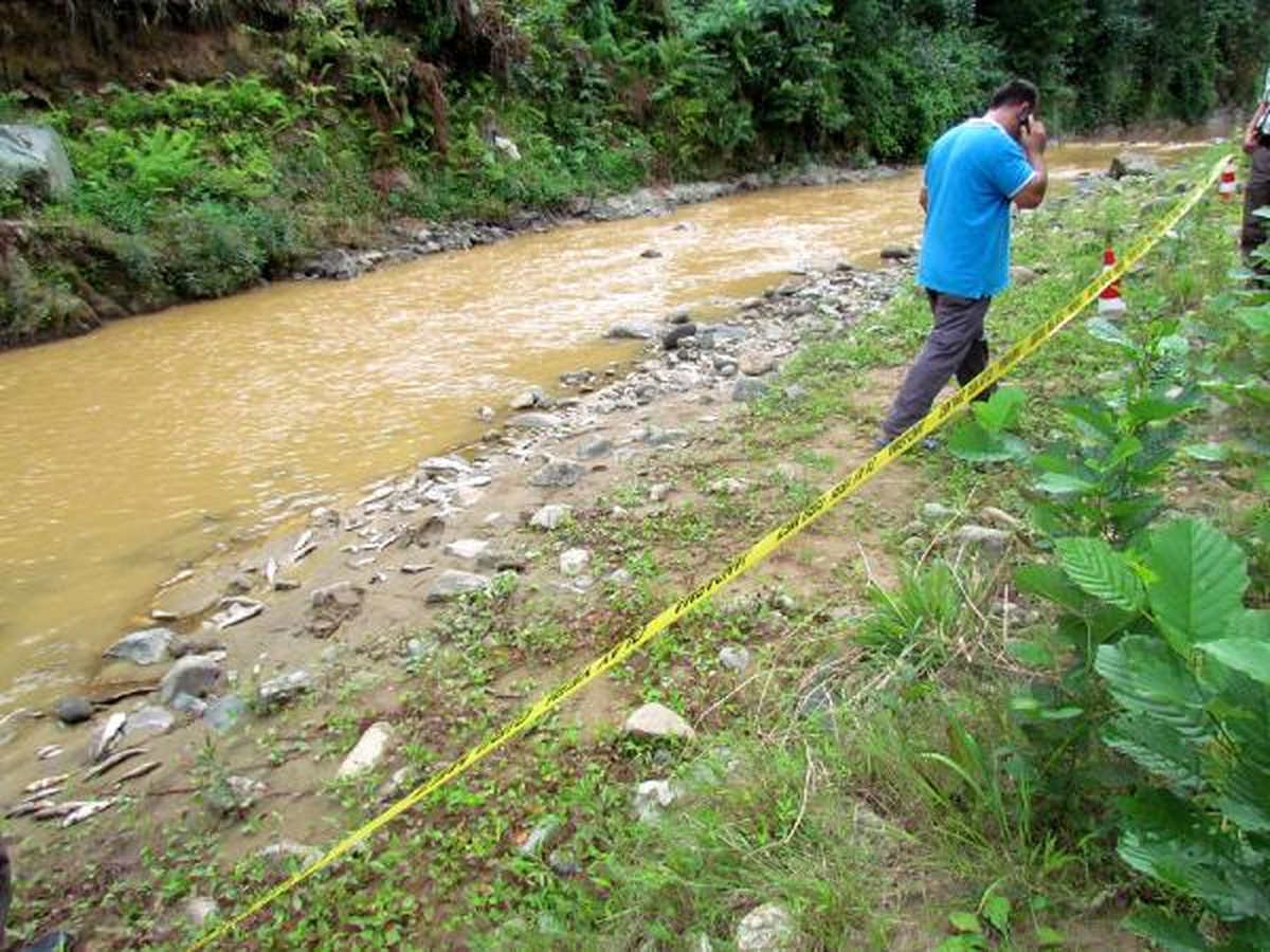Rize\'deki Balık Ölümlerinin Nedeni Belli Oldu