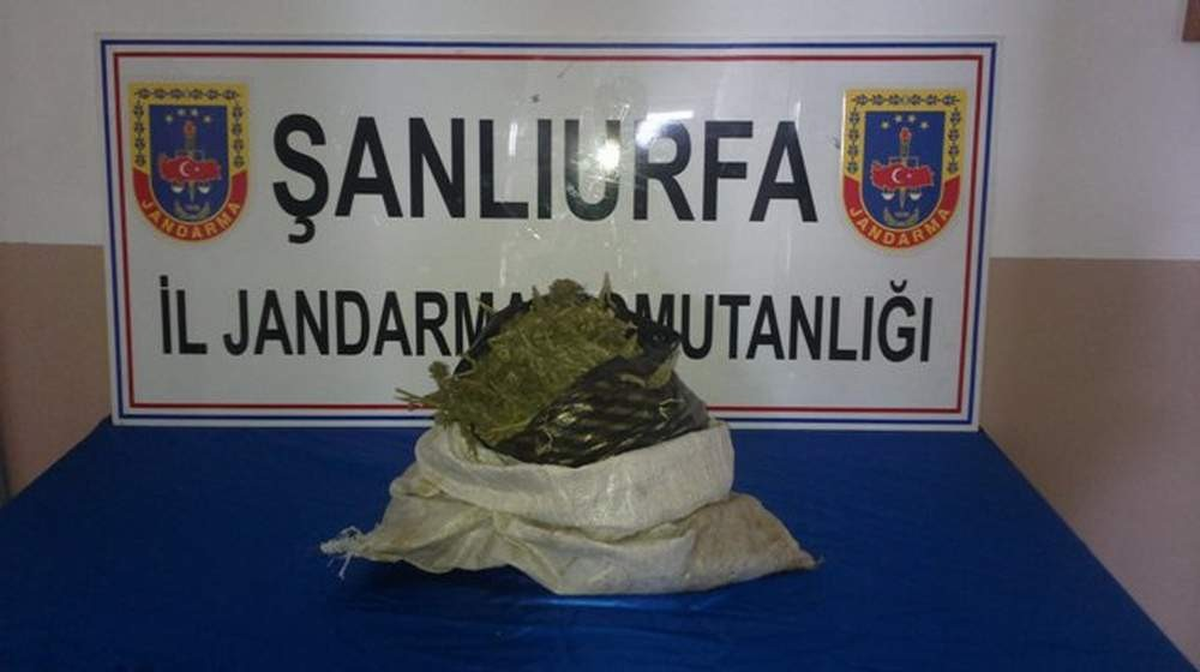 Şanlıurfa\'da 54 Kilo 405 Gram Esrar Ele Geçirildi