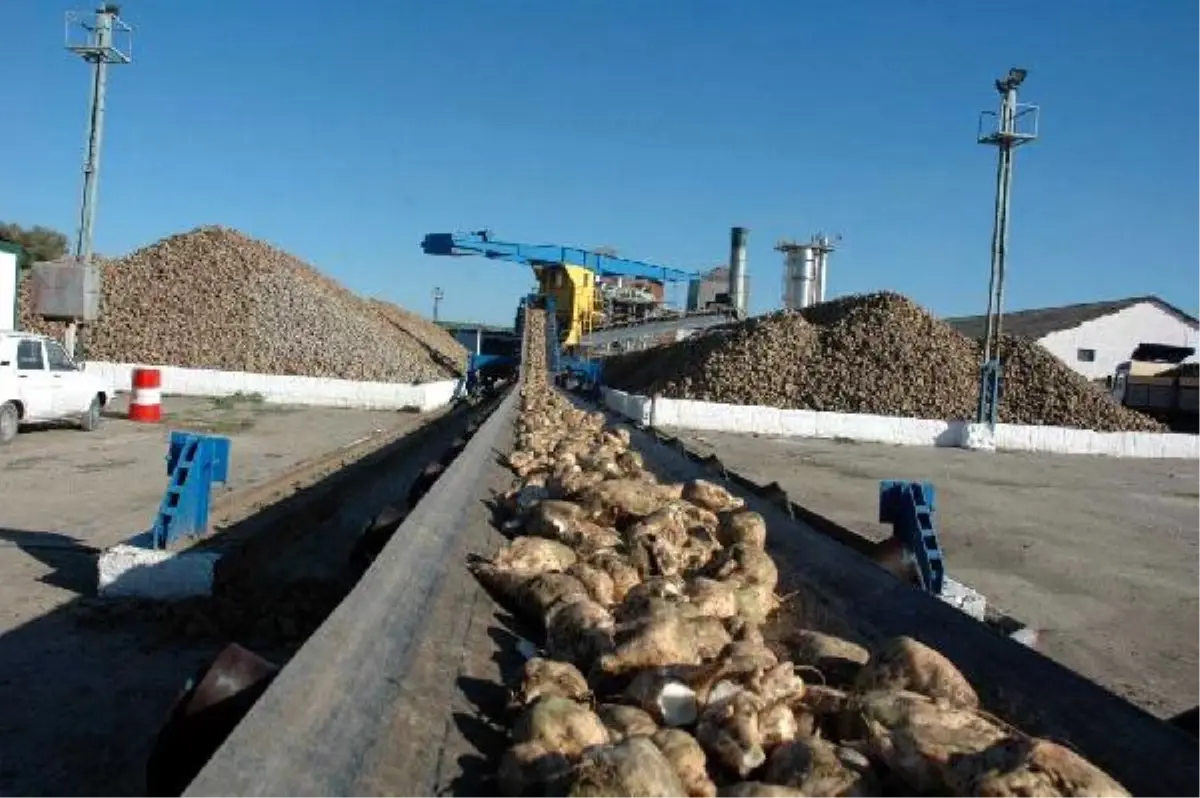 65 Bin Çiftçinin Ortak Olduğu Şeker Fabrikasına Alıcı Çıkmadı
