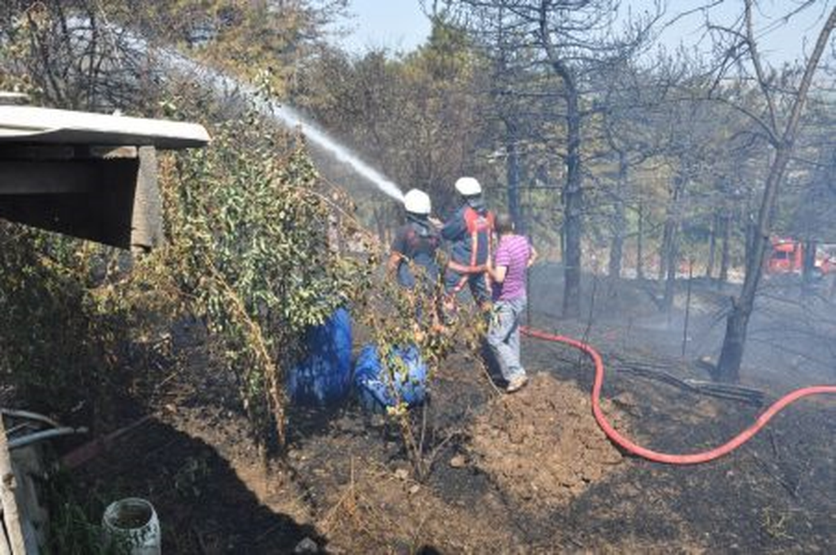 Aşırı Sıcaklar Yangına Sebebiyet Verdi