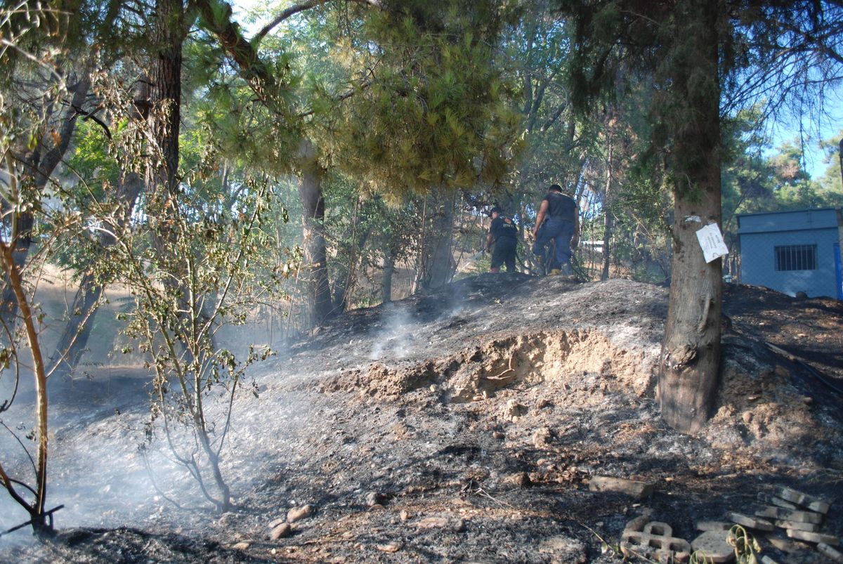 Aytepe\'yi Zamanında Müdahale Kurtardı