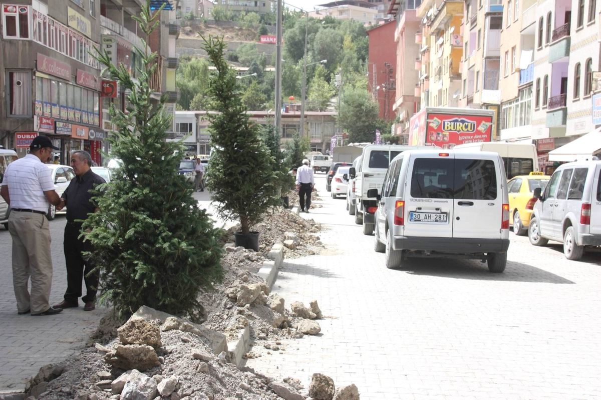 Belediyeden Ağaçlandırma Çalışması