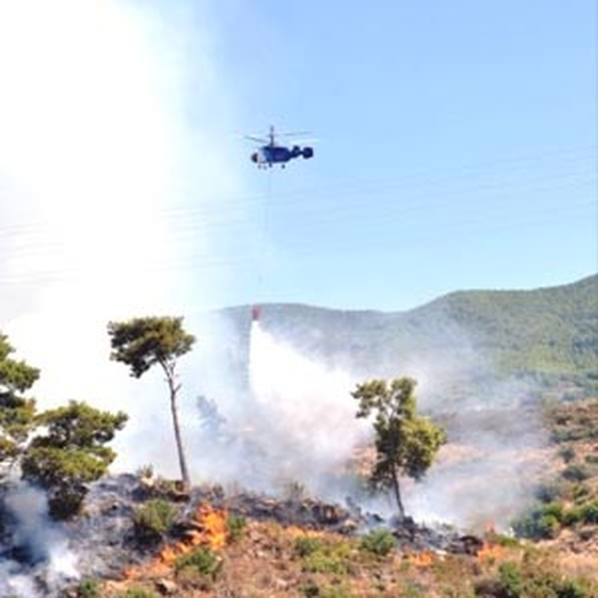 Bergama\'da Orman Yangını