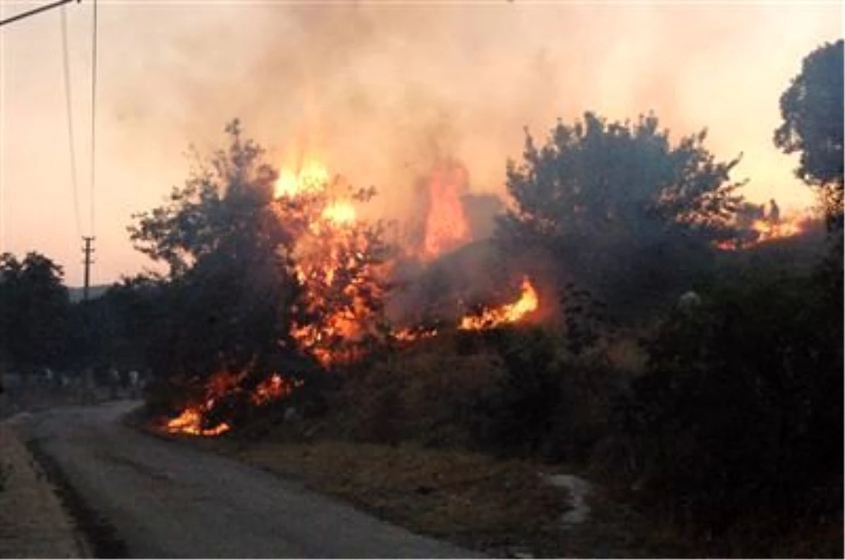 Dinamit Yüklü Kamyon Devrilince Orman Yangını Çıktı