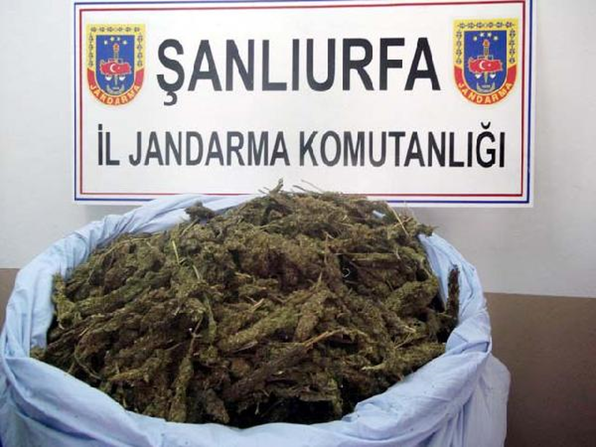 2 Kişinin Sınırda Bıraktığı Çuvaldan 24 Kilo Esrar Çıktı