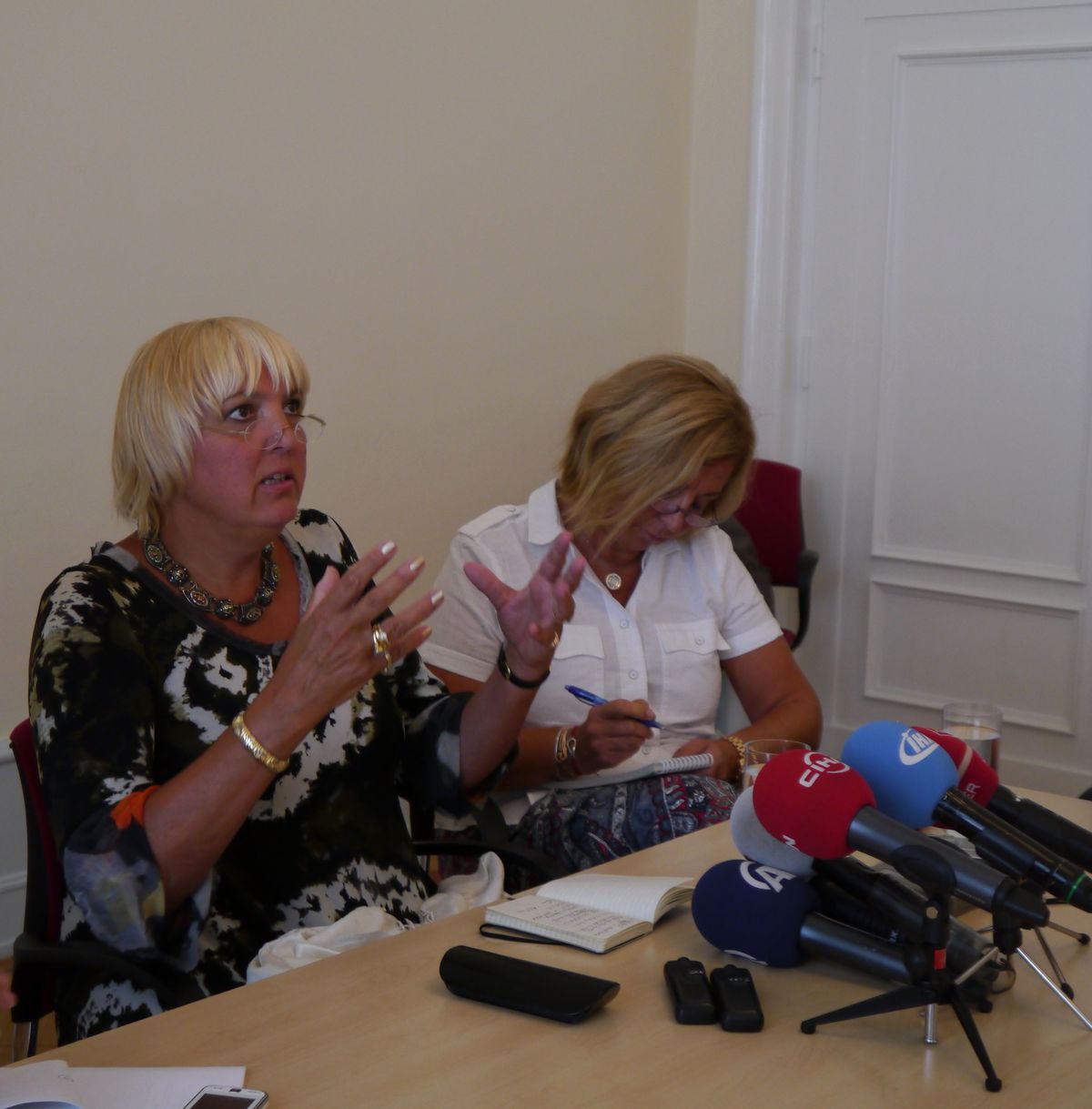 Alman Parlamentosu Milletvekili Claudia Roth Ankara\'da