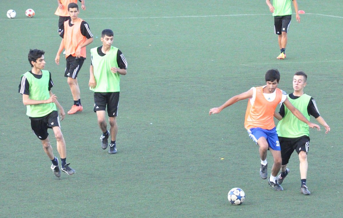 Bal Ligi