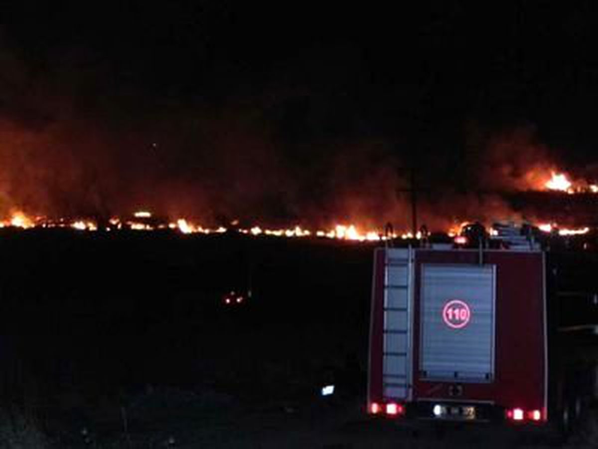 Bergama'da Orman Yangını Kontrol Altında
