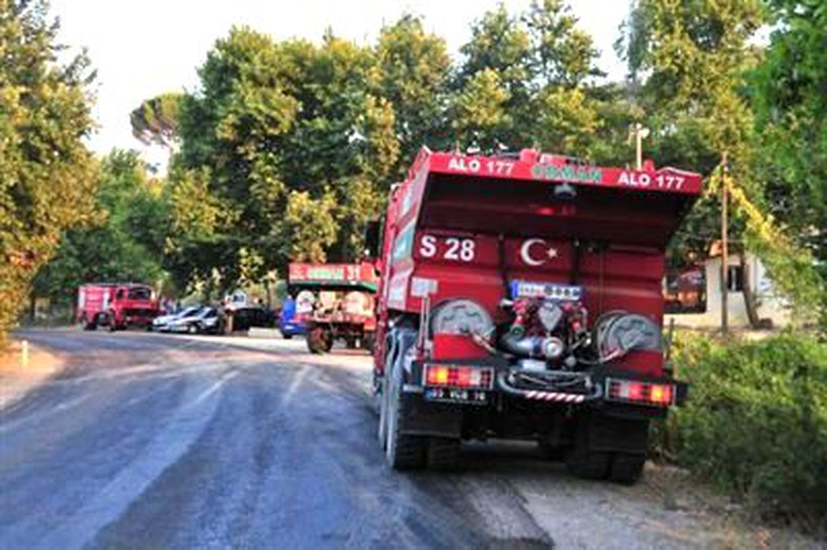 Bergama\'daki Orman Yangını