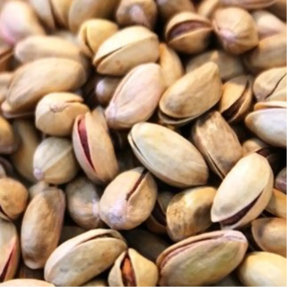 Gaziantep Ticaret Borsası